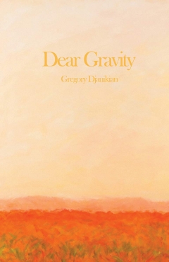 Dear Gravity Book Cover