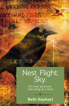 Nest. Flight. Sky. book cover