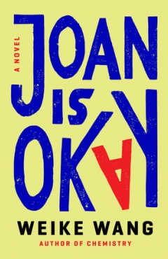 Joan Is Okay Book Cover