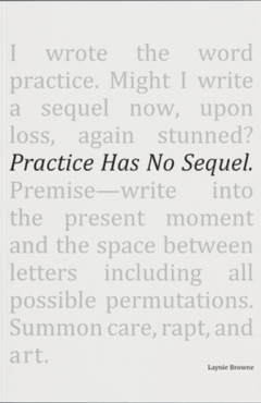 Cover art for Practice Has No Sequel 