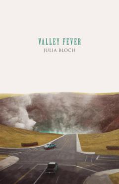 book cover, Valley Fever by Julia Bloch