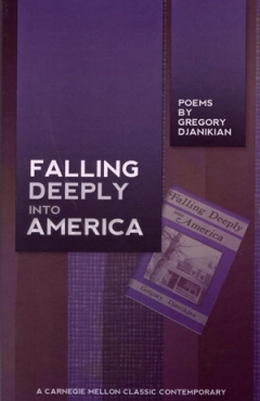 Falling Deeply into America Book Cover