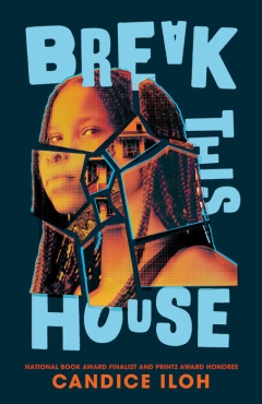 Cover art for Break This House