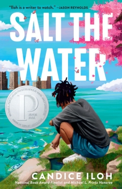 Cover art for Salt the Water