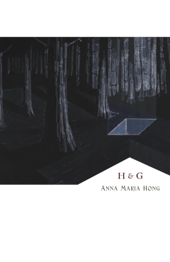 Cover art for H & G