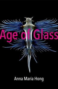 Cover art for Age of Glass