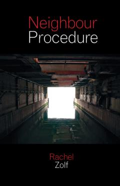 Cover art for Neighbour Procedure