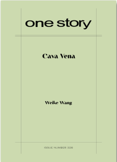 Cover art for "Cava Vena"