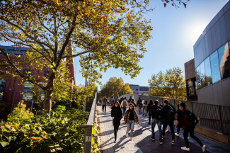 decorative image of students walking across campus